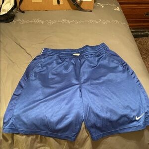 Nike Men's Blue Athletic Shorts